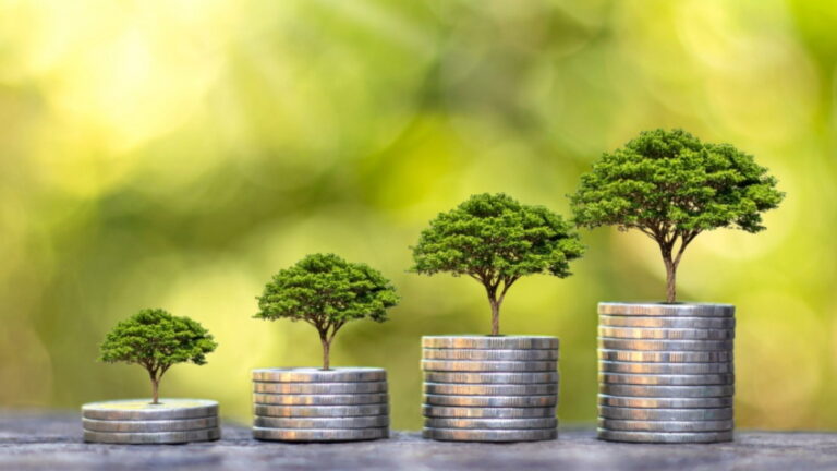 3 ways SA Chamber membership grows your business in SA the UK