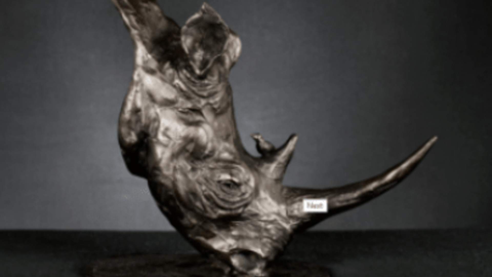 African Expression by sculptor Bruce Little
