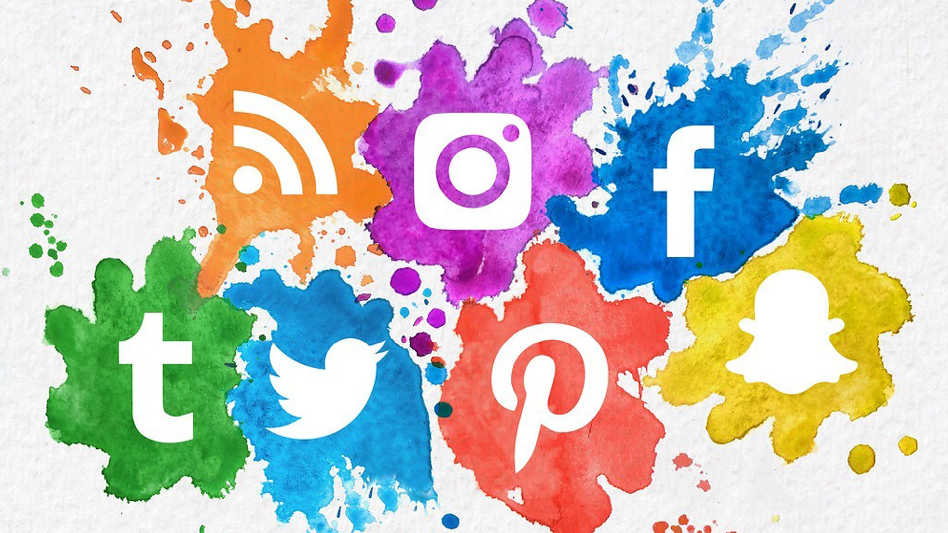 Volunteer Opportunity for a Social Media Coordinator