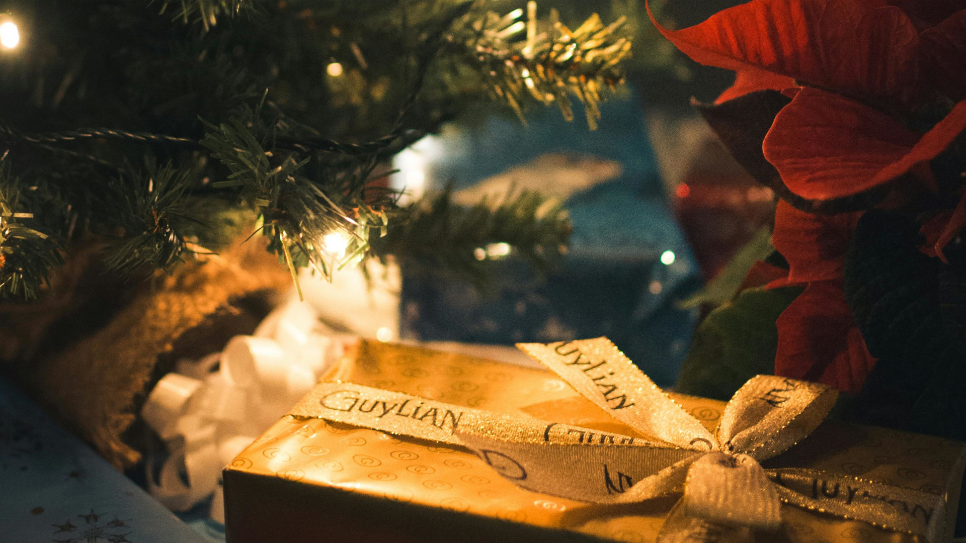 Chairman’s Christmas Message 2023